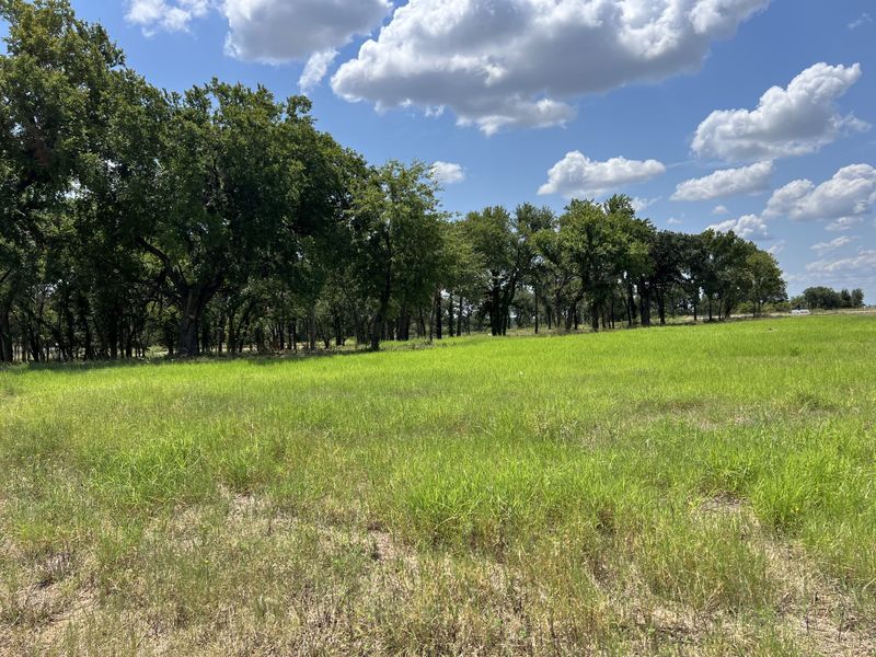 Natural landscape and outdoor views near Santana Ridge - Brock ISD in Brock (Image 4). Natural landscape and outdoor views near Santana Ridge - Brock ISD in Brock (Image 4).