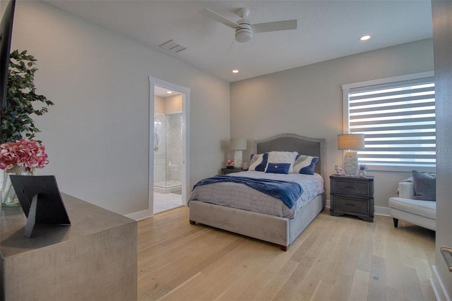 Furnished interior view inside a new home in , Dunedin (Image 30).