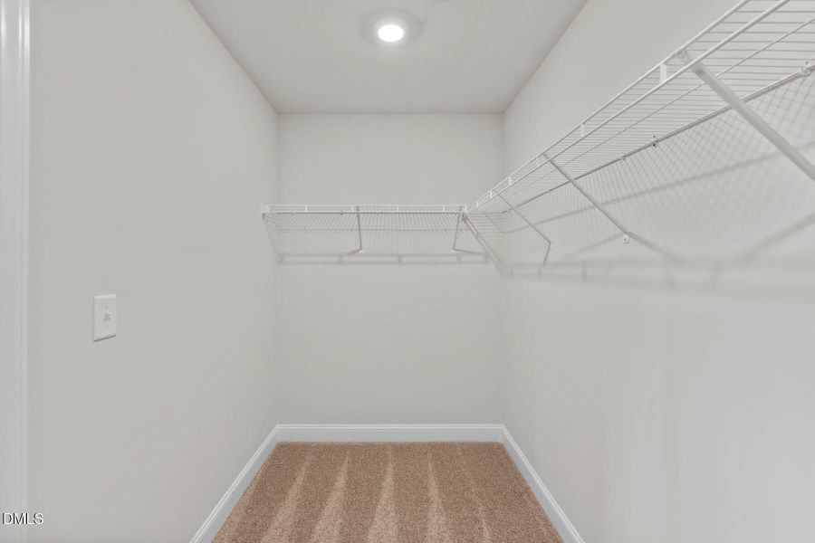 Southeast_Carolina_R_019