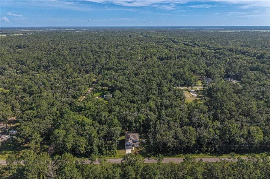 Natural landscape and outdoor views near Flagler Estates in Hastings (Image 54).