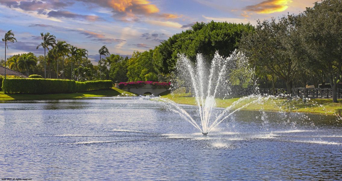 Equestrian Club Estates Fountain AAP 202