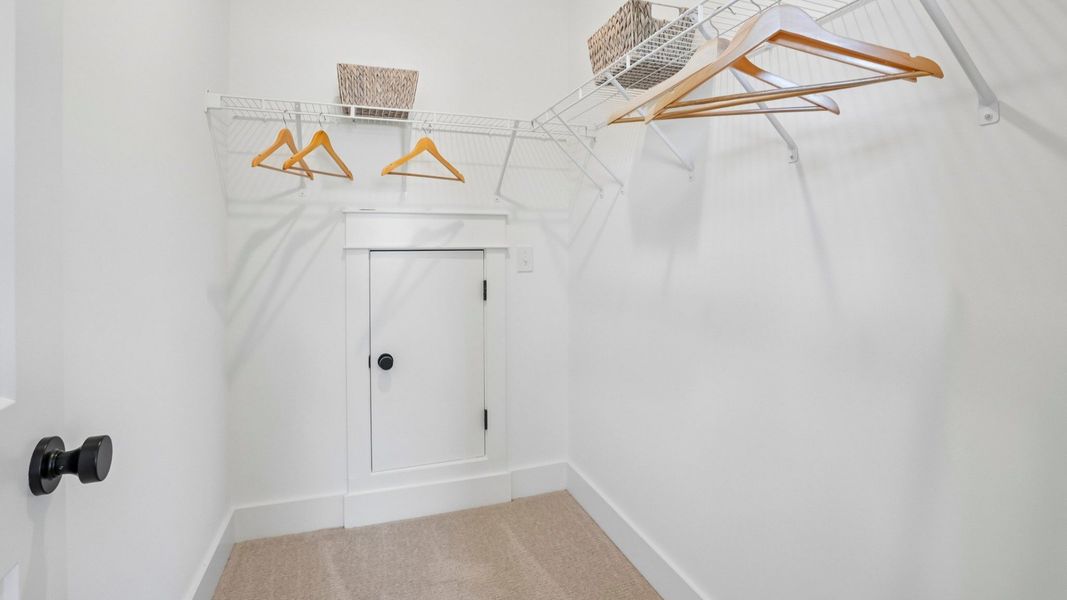 Closet with carpet and ventilated shelf Closet with carpet and ventilated shelf