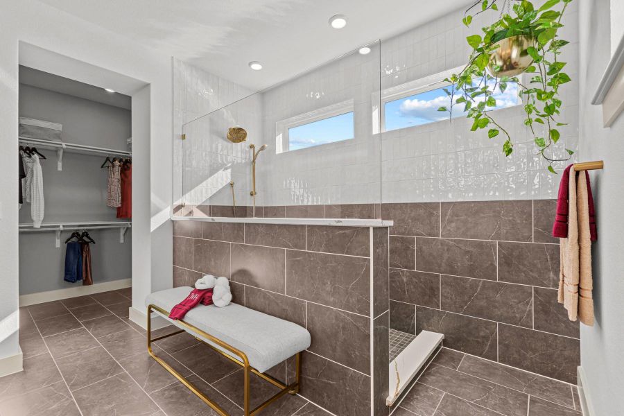 Owner's Shower (Staged) Owner's Shower (Staged)