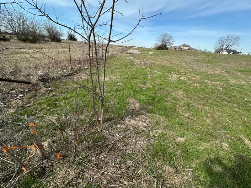 Natural landscape and outdoor views near Fannin Ranch in Leonard (Image 12). Natural landscape and outdoor views near Fannin Ranch in Leonard (Image 12).