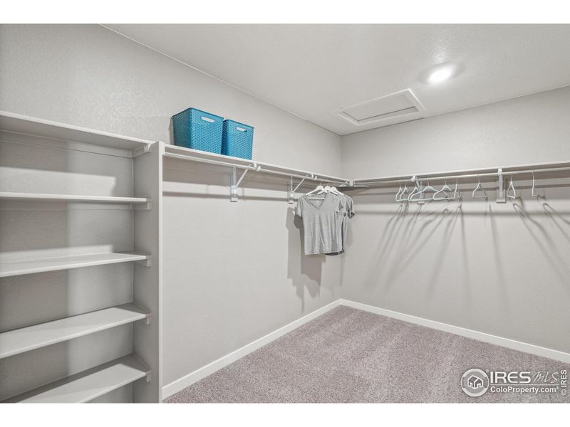 Spacious, unfurnished interior of a new home in Brighton Crossing, Brighton (Image 18).