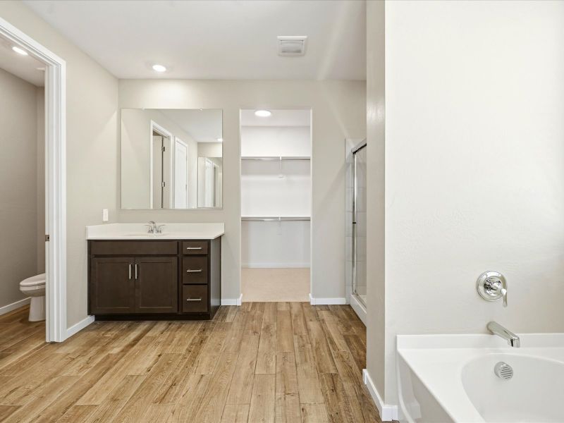 Furnished interior view inside a new home in White Tank Foothills Signature Series, Waddell (Image 7).