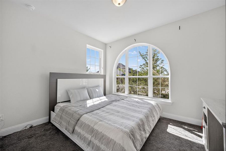 Bedroom featuring dark colored carpet and baseboards Bedroom featuring dark colored carpet and baseboards