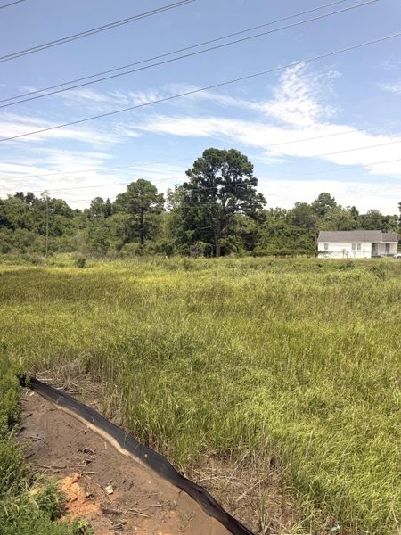 Natural landscape and outdoor views near in North Charleston (Image 18). Natural landscape and outdoor views near in North Charleston (Image 18).