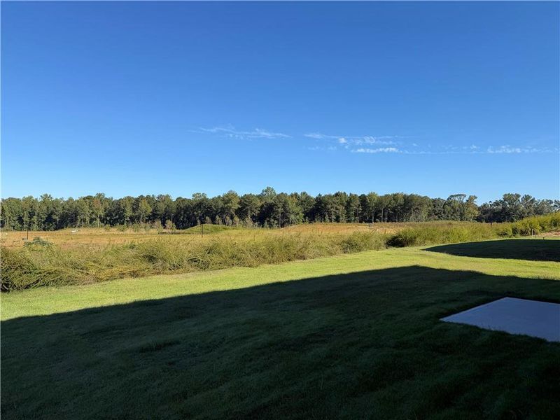 Natural landscape and outdoor views near The Brooke at Rivertown in South Fulton (Image 14).