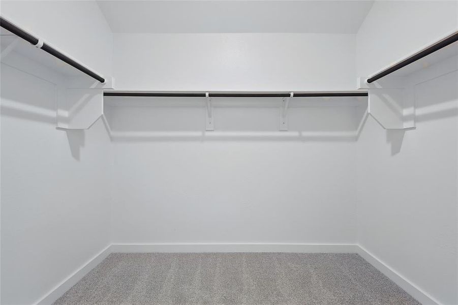 Walk in closet with carpet