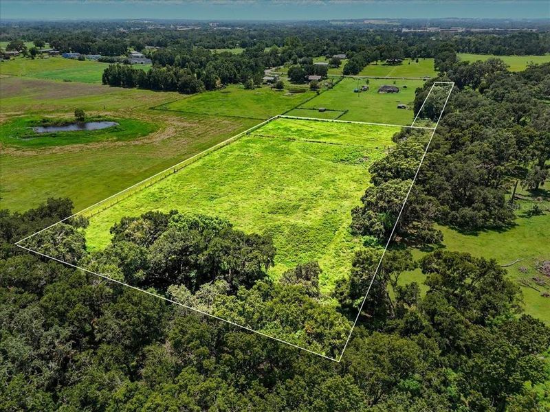 Natural landscape and outdoor views near  in Dade City (Image 24).