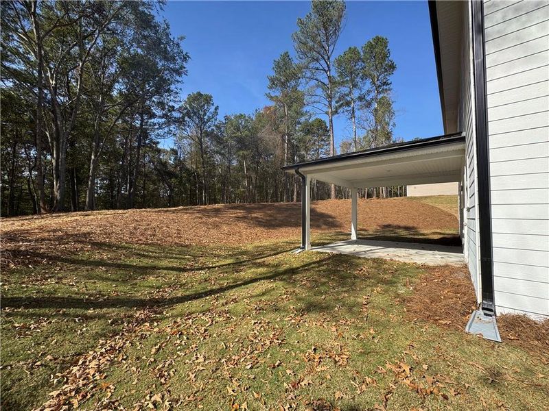 Exterior details and patio area of a home in The Fields of Walnut Creek, Pendergrass (Image 3).
