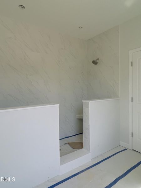OVS 413 Primary bath shower