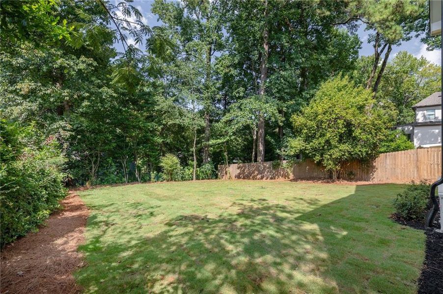 Natural landscape and outdoor views near  in Atlanta (Image 40).
