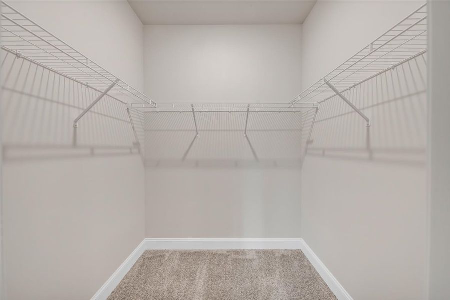 Spacious, unfurnished interior of a new home in Scarlett Place, Bowdon (Image 32).