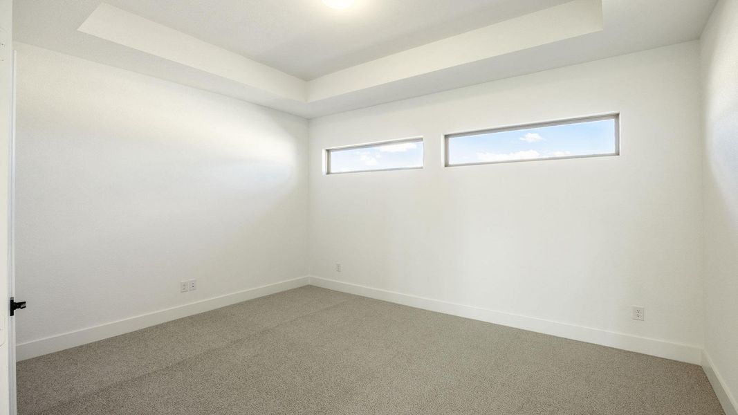 Empty room featuring a raised ceiling, carpet, and plenty of natural light