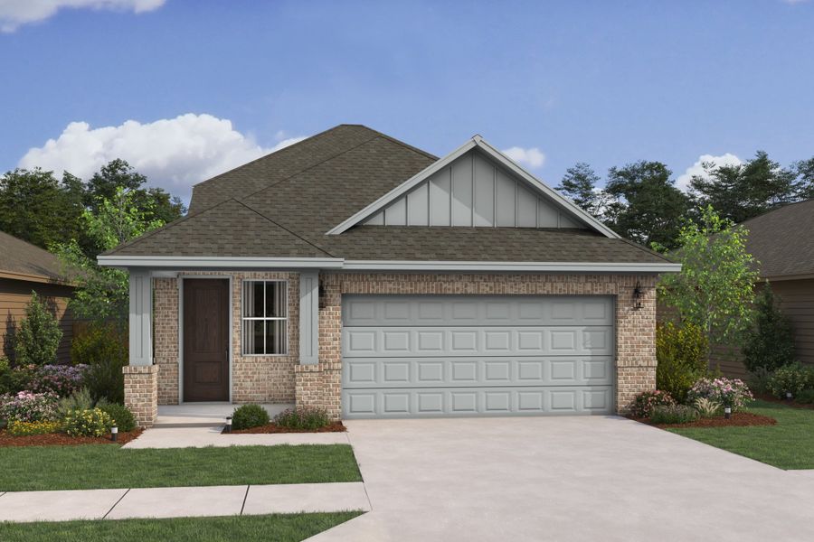 Scotch Pine PN Scotch Pine PN