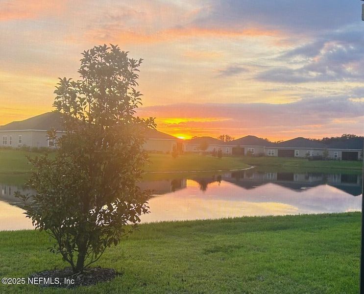 Natural landscape and outdoor views near  in Green Cove Springs (Image 54).