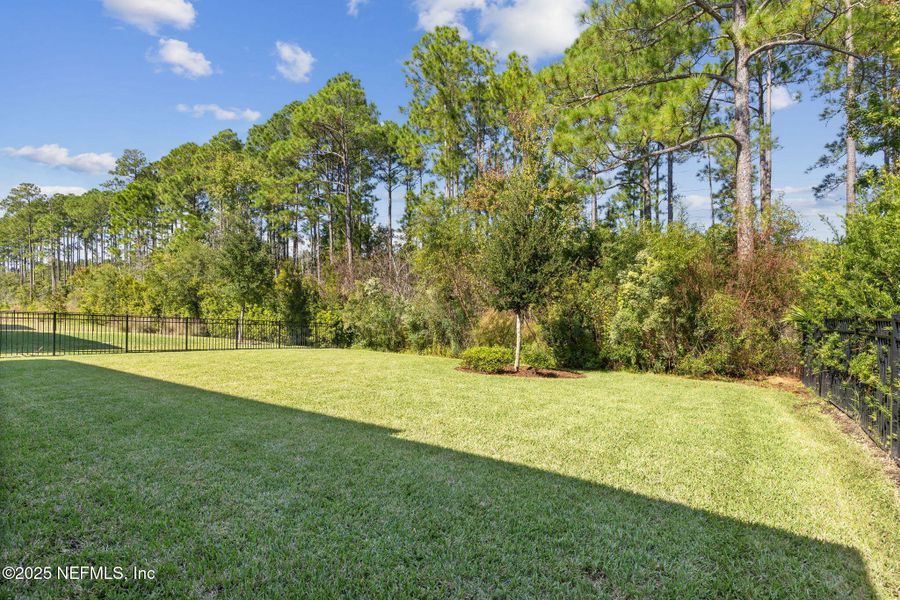 Natural landscape and outdoor views near Amelia National in Fernandina Beach (Image 31).