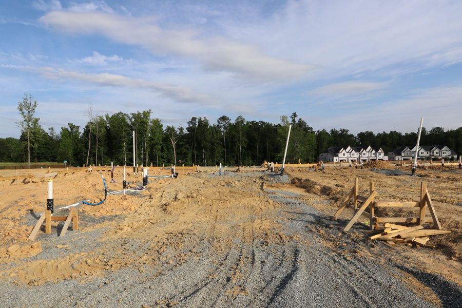 Homesite