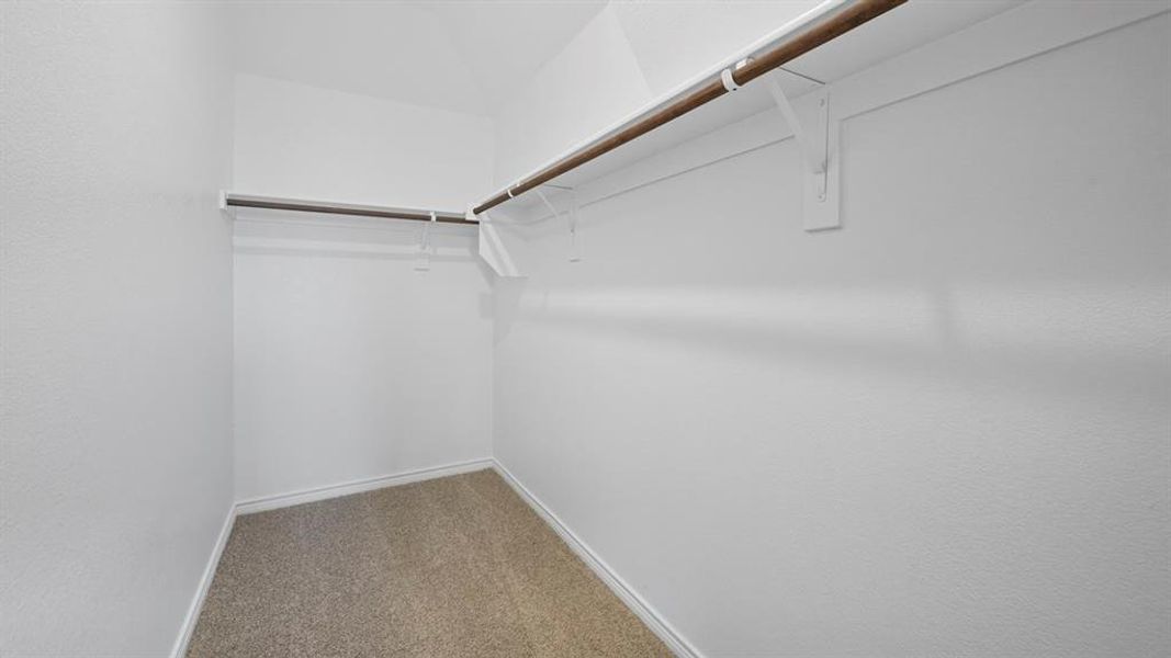 Spacious closet featuring carpet flooring Spacious closet featuring carpet flooring