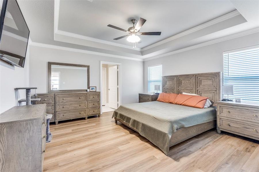 Bedroom featuring a raised ceiling, light wood-style floors, a ceiling fan, ornamental molding, and multiple windows Bedroom featuring a raised ceiling, light wood-style floors, a ceiling fan, ornamental molding, and multiple windows
