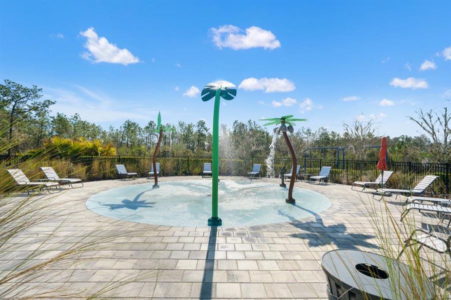 Community amenities in , Wesley Chapel (Image 41).