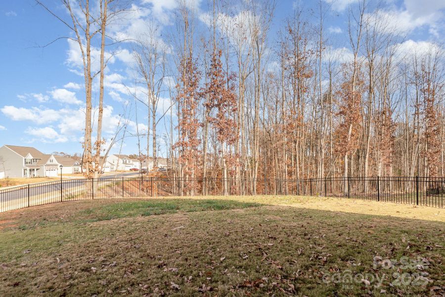 Natural landscape and outdoor views near  in Troutman (Image 32).