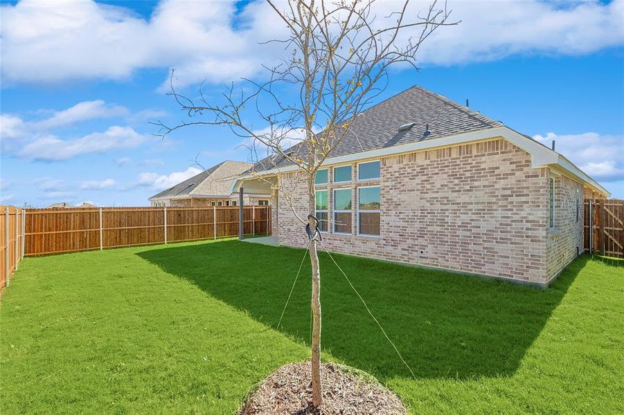 Rear view of house with a lawn