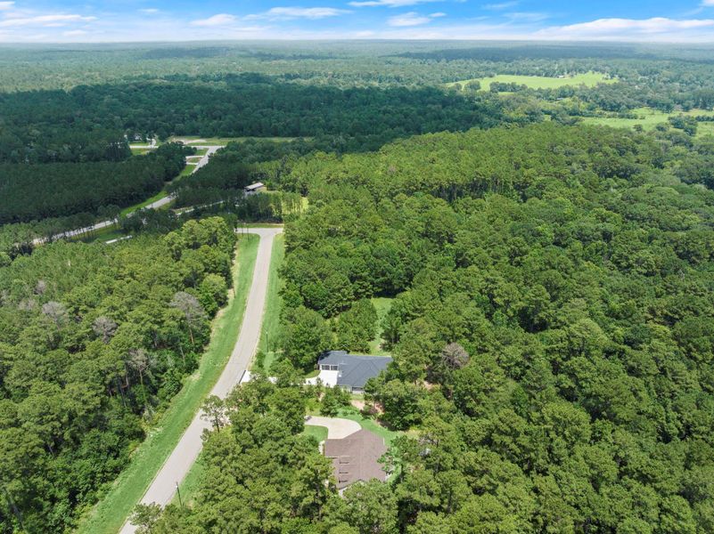 Natural landscape and outdoor views near  in New Waverly (Image 43).