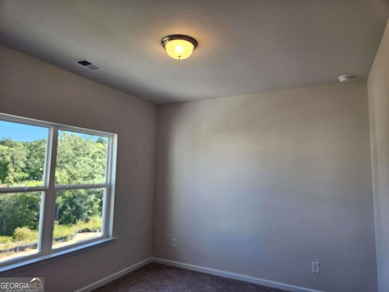 Spacious, unfurnished interior of a new home in Maddox Station, Eatonton (Image 26).
