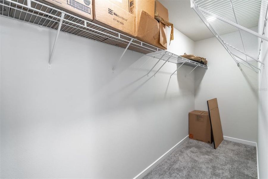 Spacious, unfurnished interior of a new home in , St. Cloud (Image 23).