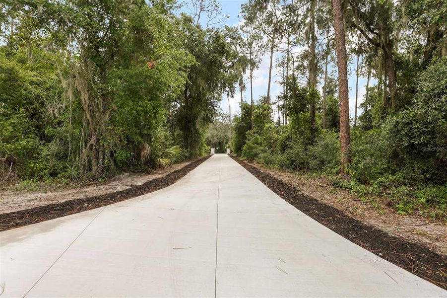 Natural landscape and outdoor views near  in Umatilla (Image 38).