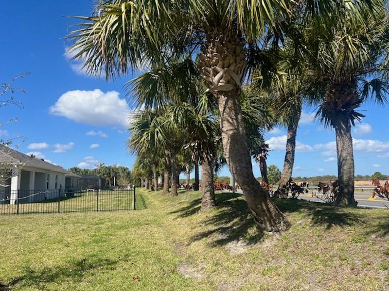 Natural landscape and outdoor views near Lakes At St Sebastian in Micco (Image 32).