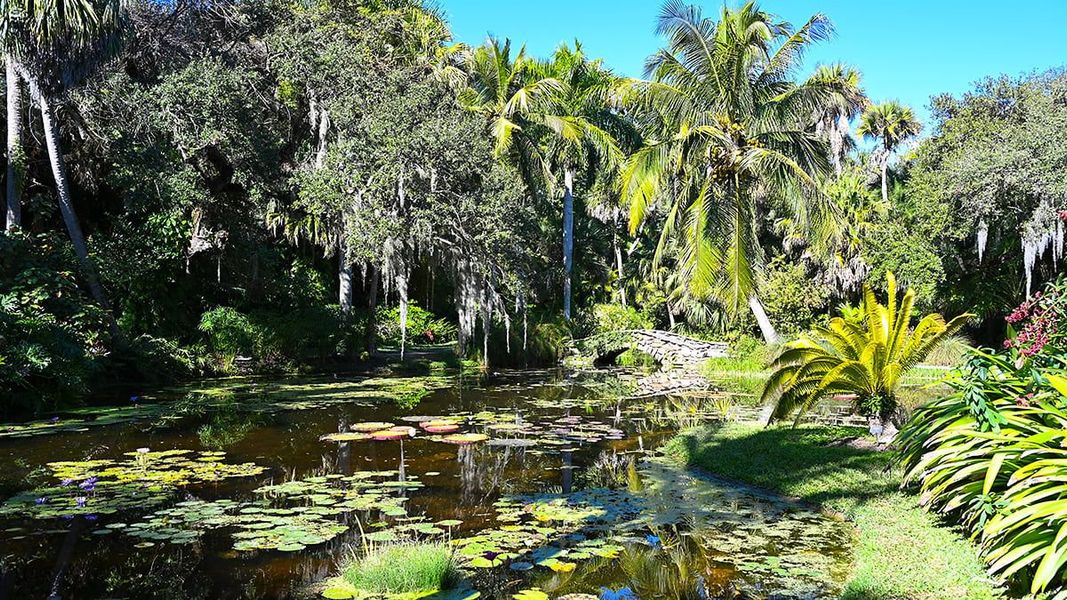 Natural landscape and outdoor views near Veranda Oaks in Port St. Lucie (Image 79).