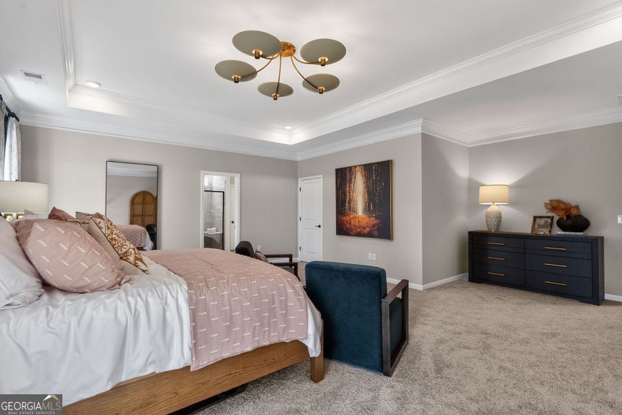 Furnished interior view inside a new home in Bryson Farms, Byron (Image 20).