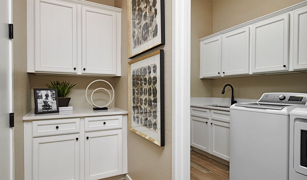 Cassandra-P642-HudsonCommons Laundry Cassandra-P642-HudsonCommons Laundry