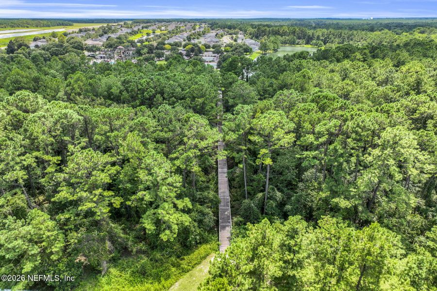 Natural landscape and outdoor views near Rolling Hills in Green Cove Springs (Image 51).