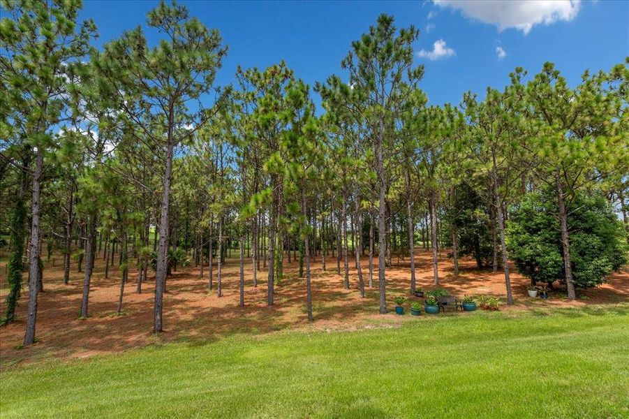 Natural landscape and outdoor views near in Apopka (Image 57). Natural landscape and outdoor views near in Apopka (Image 57).