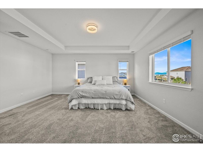 Furnished interior view inside a new home in Prairie Song, Windsor (Image 16).
