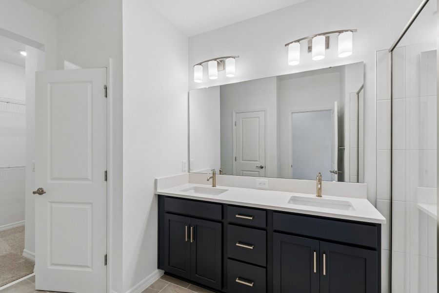 Owner's Bath