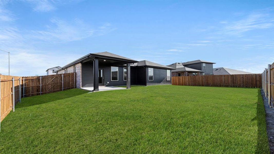 27. 3100 Areca - Back (2) 27. 3100 Areca - Back (2)