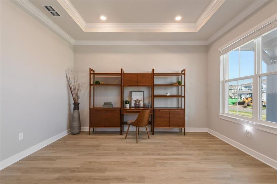 Crown Molding, Tray Ceiling, Recessed Lighting