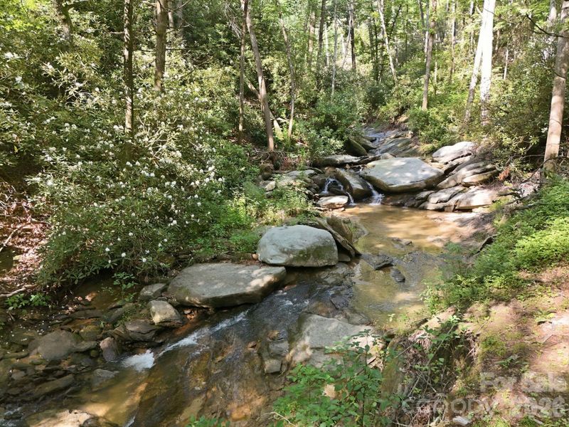 Natural landscape and outdoor views near in Hendersonville (Image 20). Natural landscape and outdoor views near in Hendersonville (Image 20).