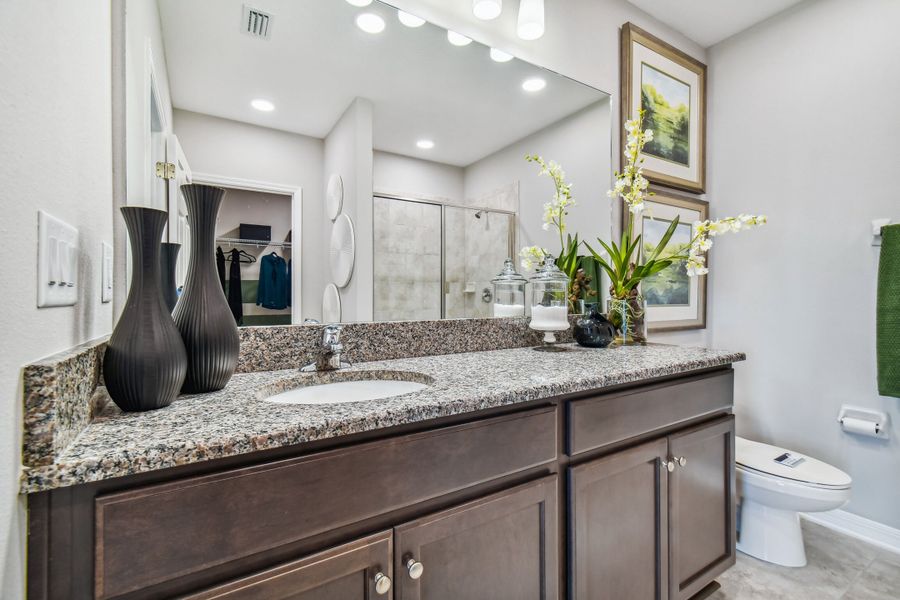 Owner's Bathroom