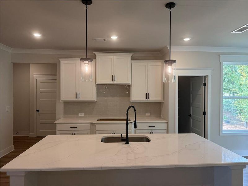 Close-up of interior finishes inside a home in Rosewood Lake Estates, Hoschton (Image 12).