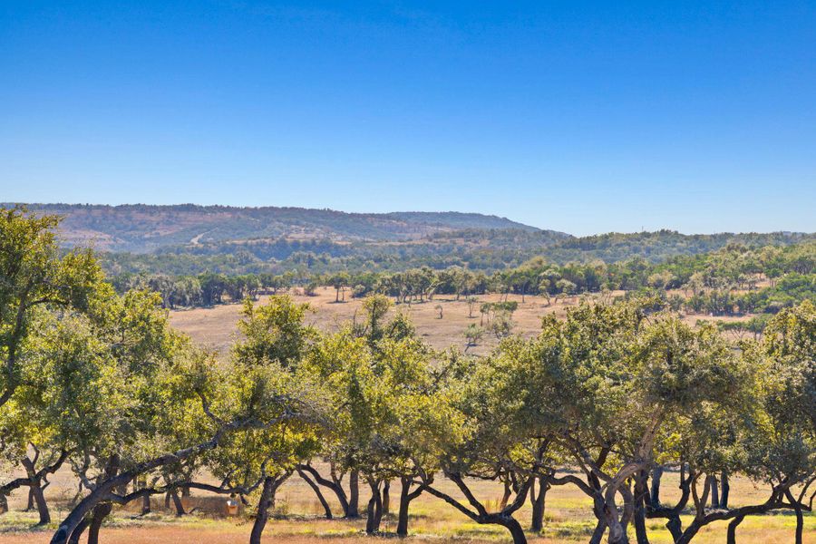 Natural landscape and outdoor views near  in Dripping Springs (Image 14).