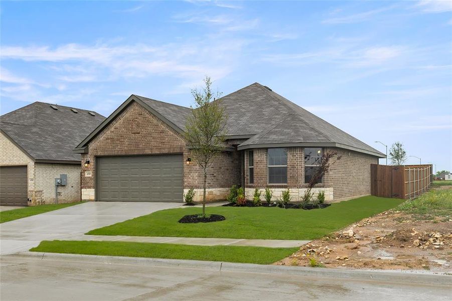 4509 Snakeweed-Front-2