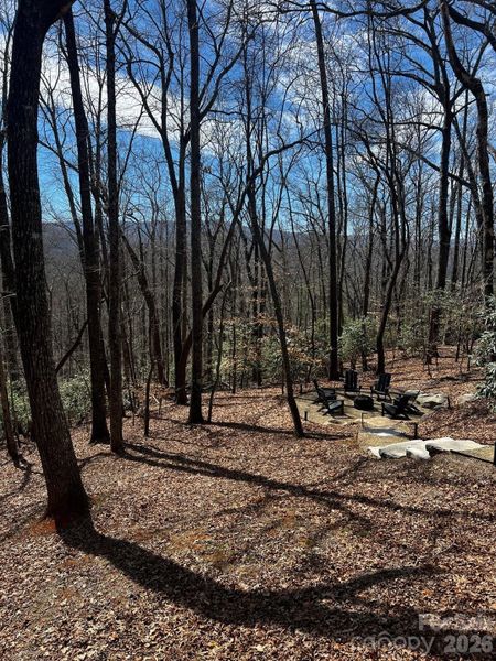 Winter view with potential to open up to an open year-round view!!!