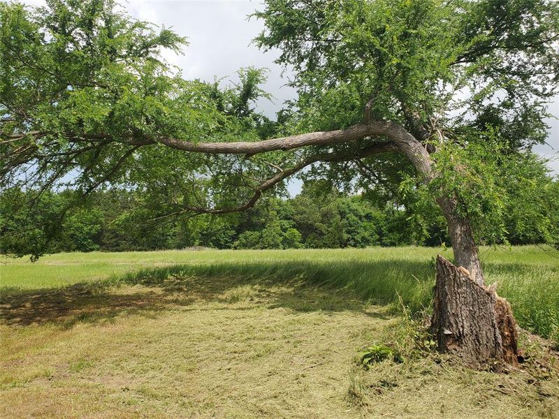 Natural landscape and outdoor views near  in Emory (Image 38).